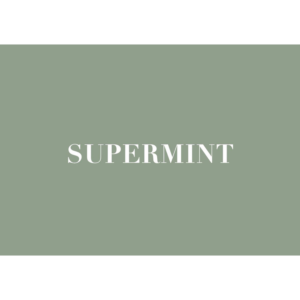 Introduction to SUPERMINT Sustainability