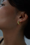 Conch Earrings