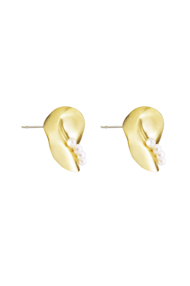Gold  Scallop Earrings