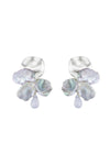 Silver Reef Earrings