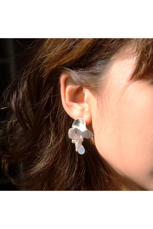 Silver Reef Earrings